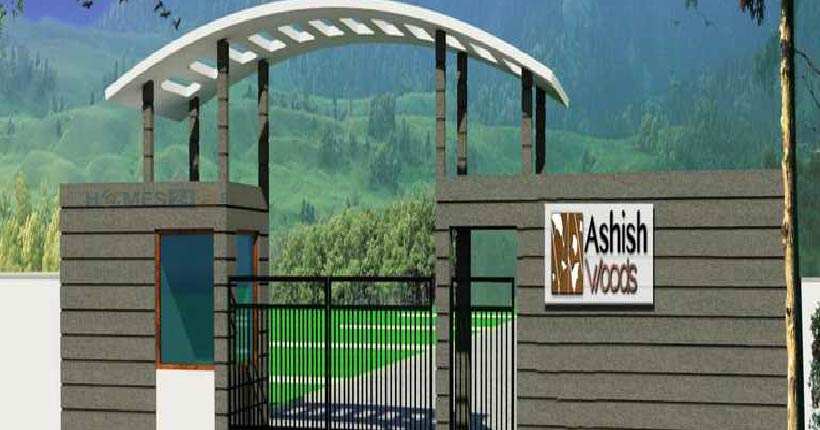 Ashish Woods-cover-06